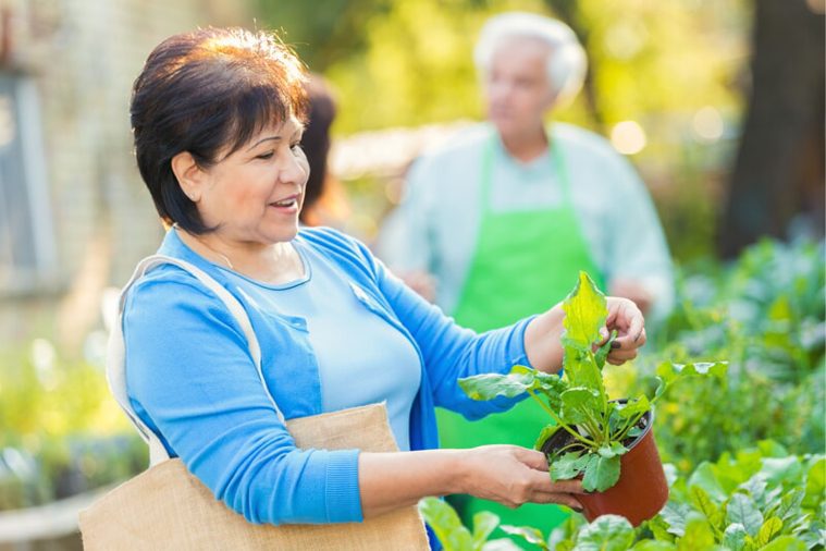 What Women Need to Know About Cardiovascular Risk - Adventist Health ...